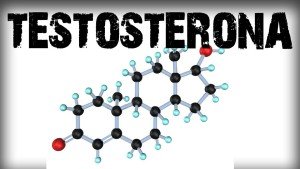 testosterona e libido