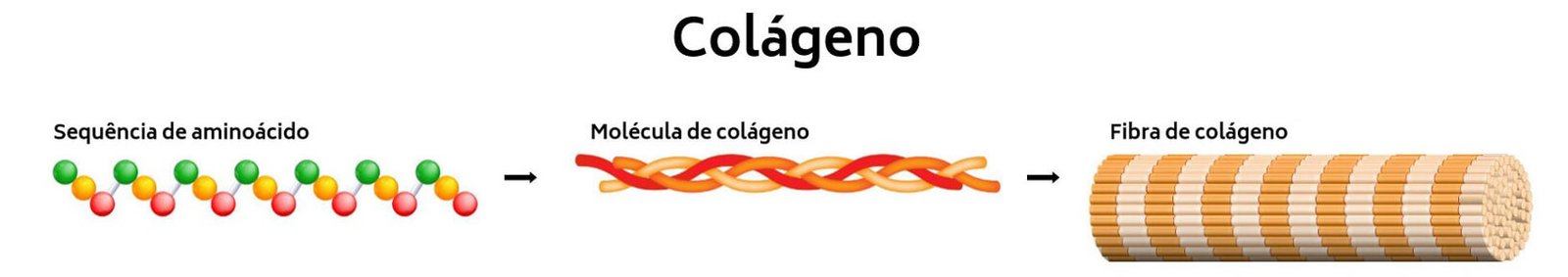 Colageno